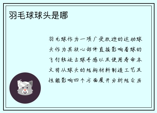 羽毛球球头是哪